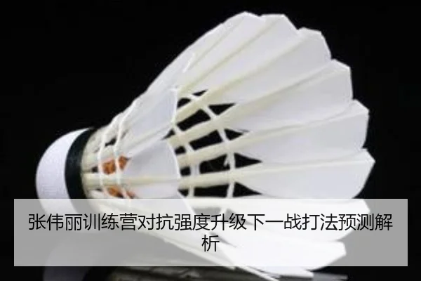 张伟丽训练营对抗强度升级下一战打法预测解析